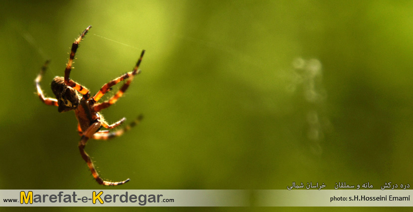 مکن های توریستی مانه و سملقان